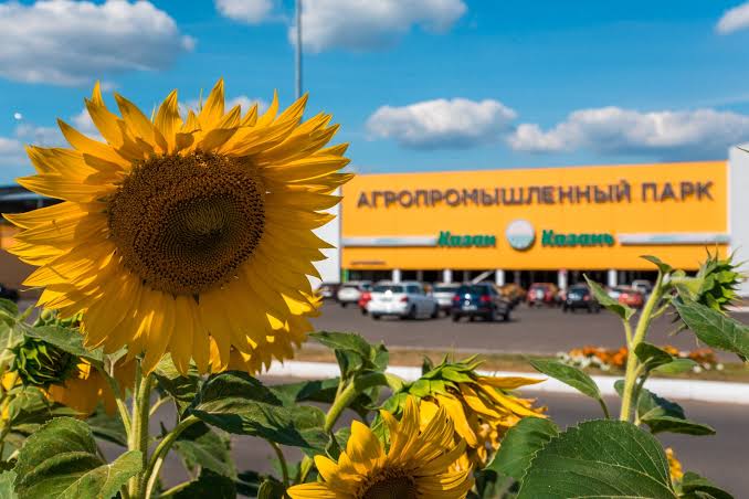 Агропромышленный парк «Казань» — главный корпус